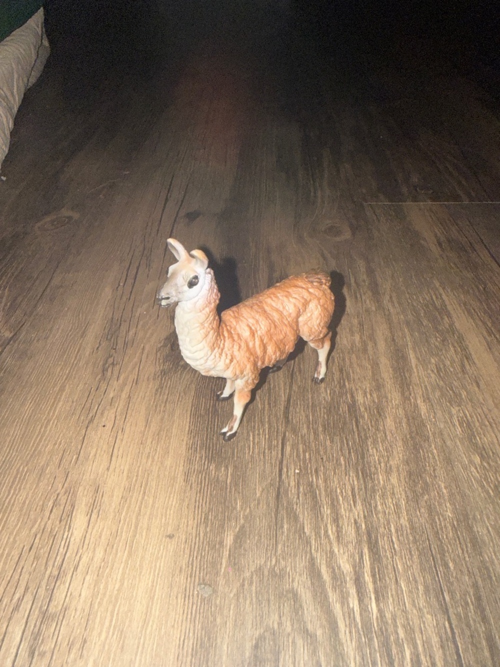 alpaca